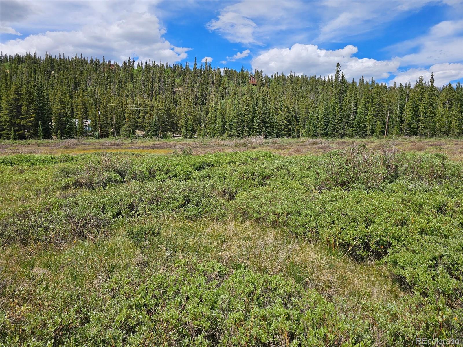 316 Gold Trail