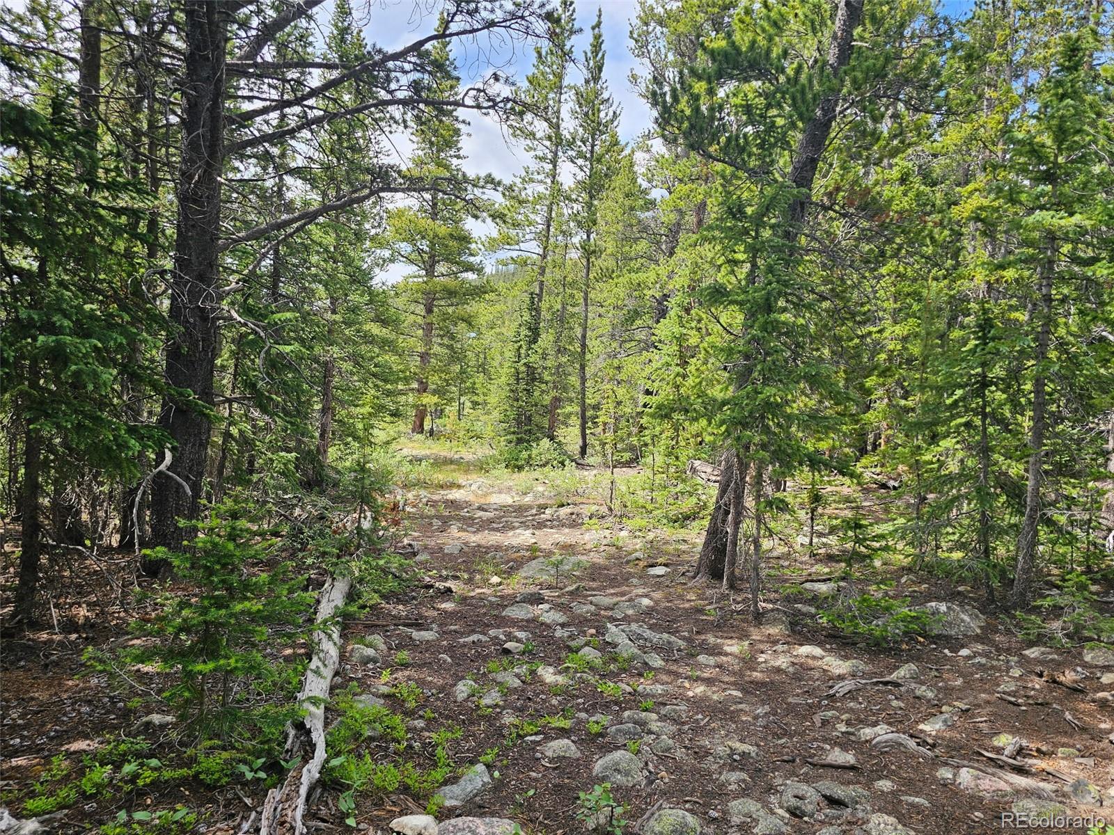 316 Gold Trail