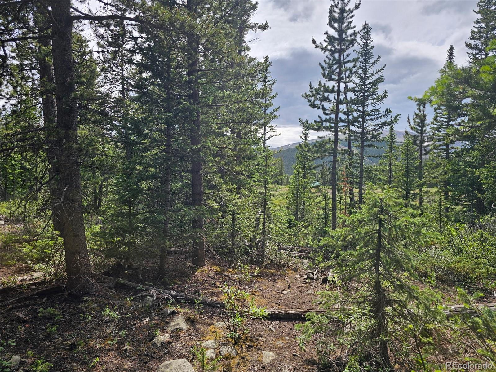 316 Gold Trail