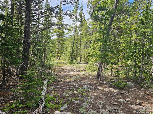 316 Gold Trail