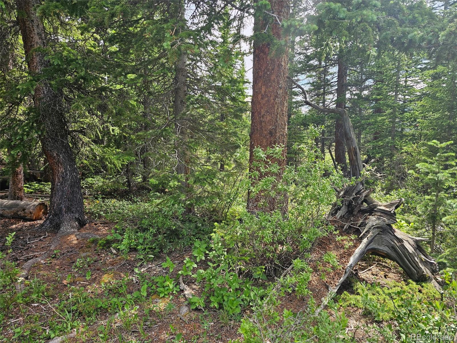 316 Gold Trail