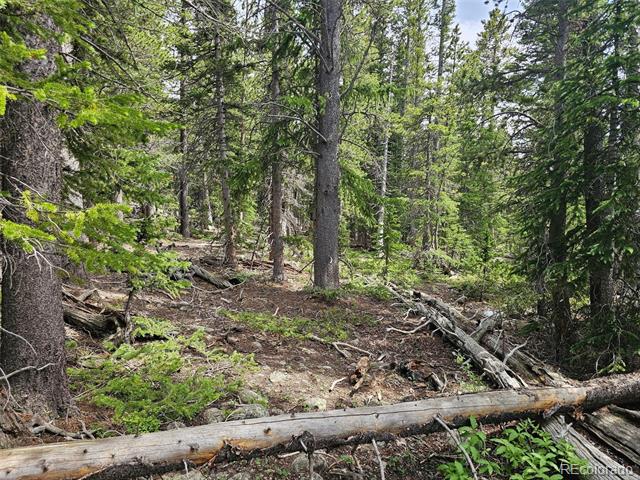 316 Gold Trail