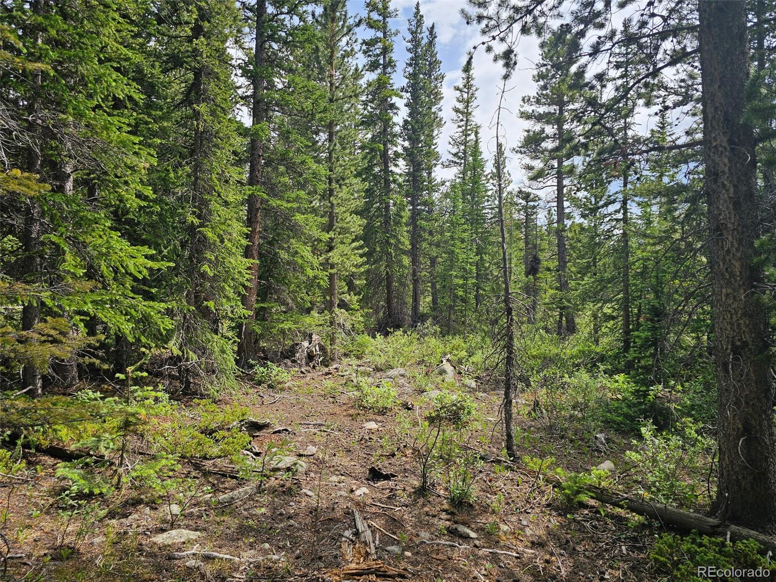 316 Gold Trail