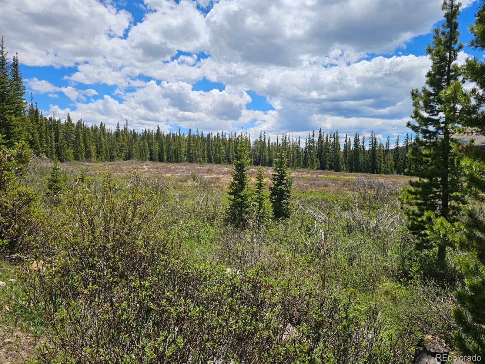 316 Gold Trail