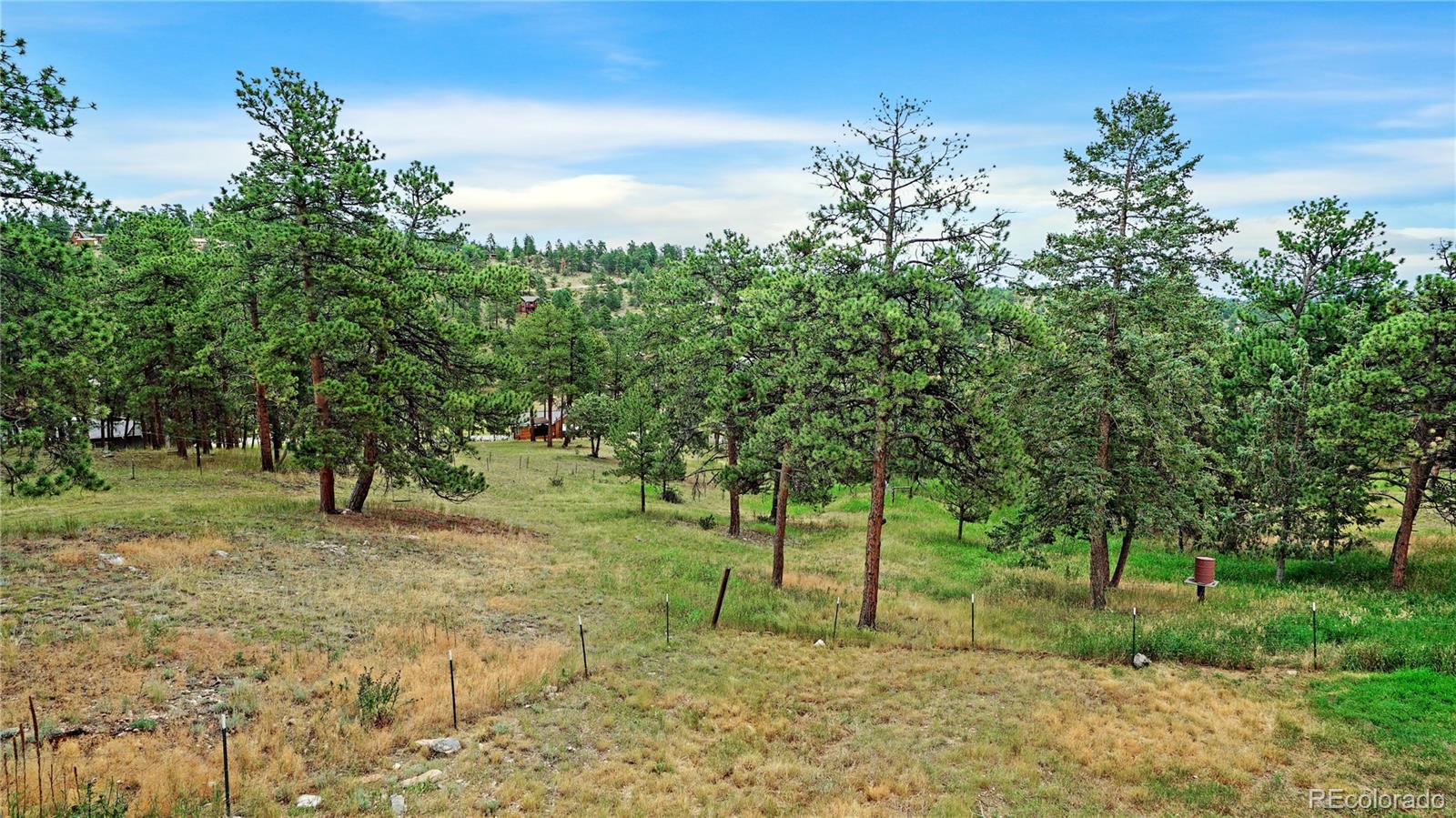 262 Dick Mountain Drive