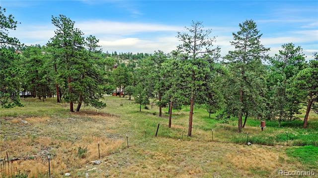 262 Dick Mountain Drive