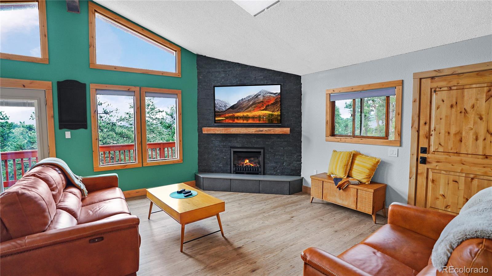 262 Dick Mountain Drive