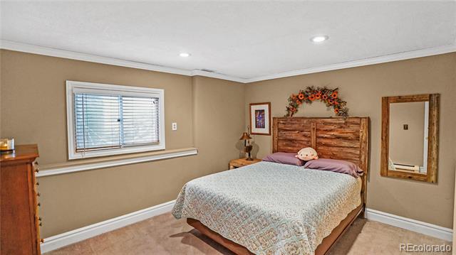 262 Dick Mountain Drive
