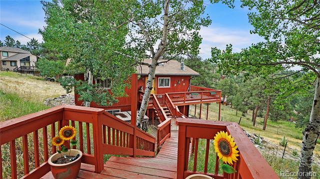 262 Dick Mountain Drive