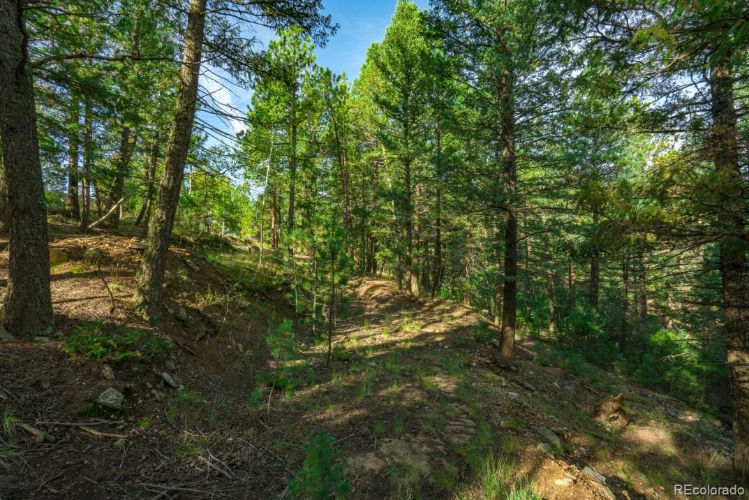 360 Hi Meadow Drive