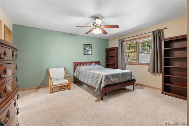 29 Cedar Lane