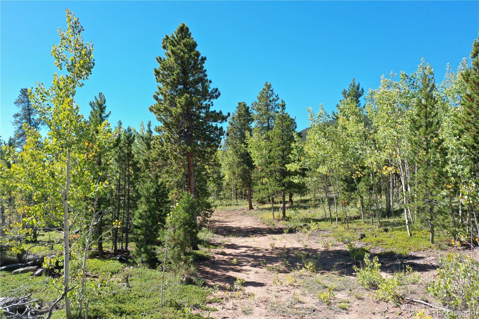 105 Road P62