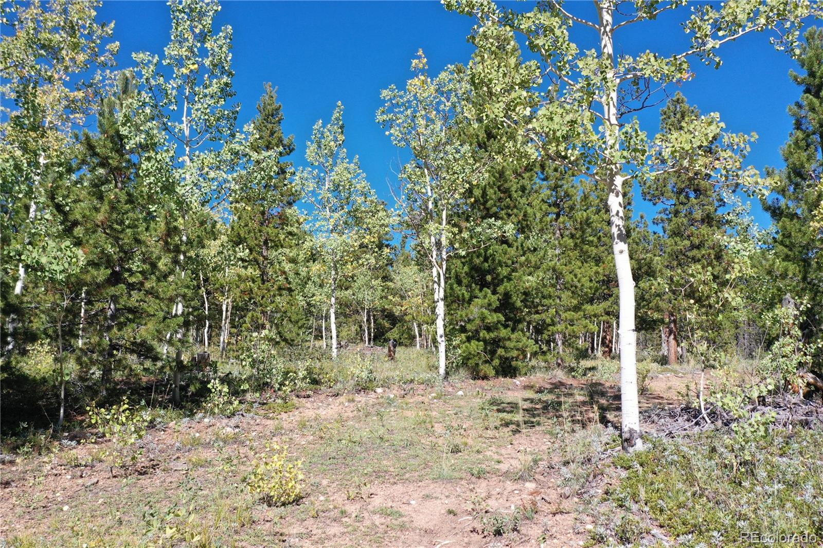 105 Road P62