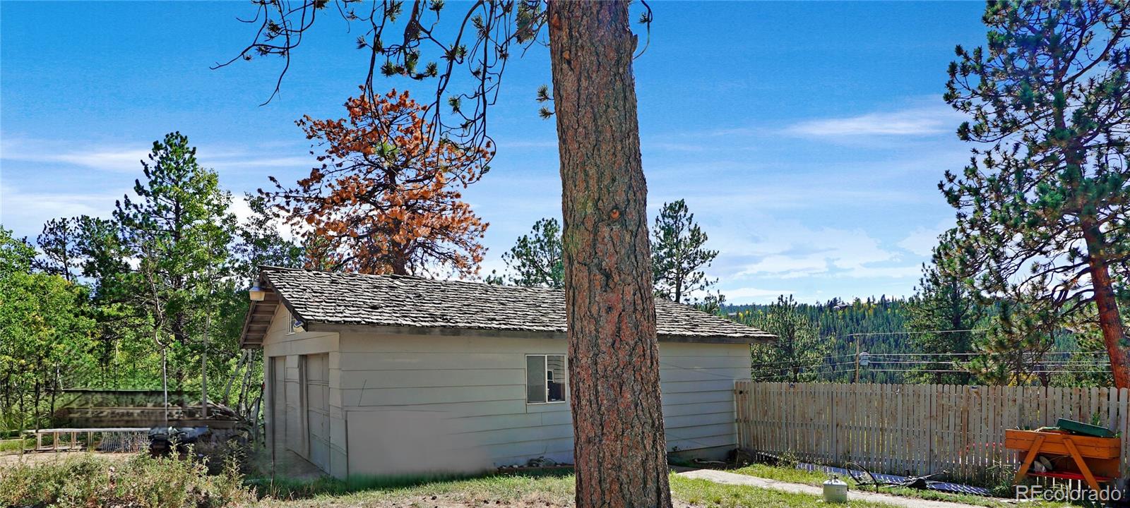 Gray outbuilding with a shingle roof behind a large pine tree, beside a fenced yard.