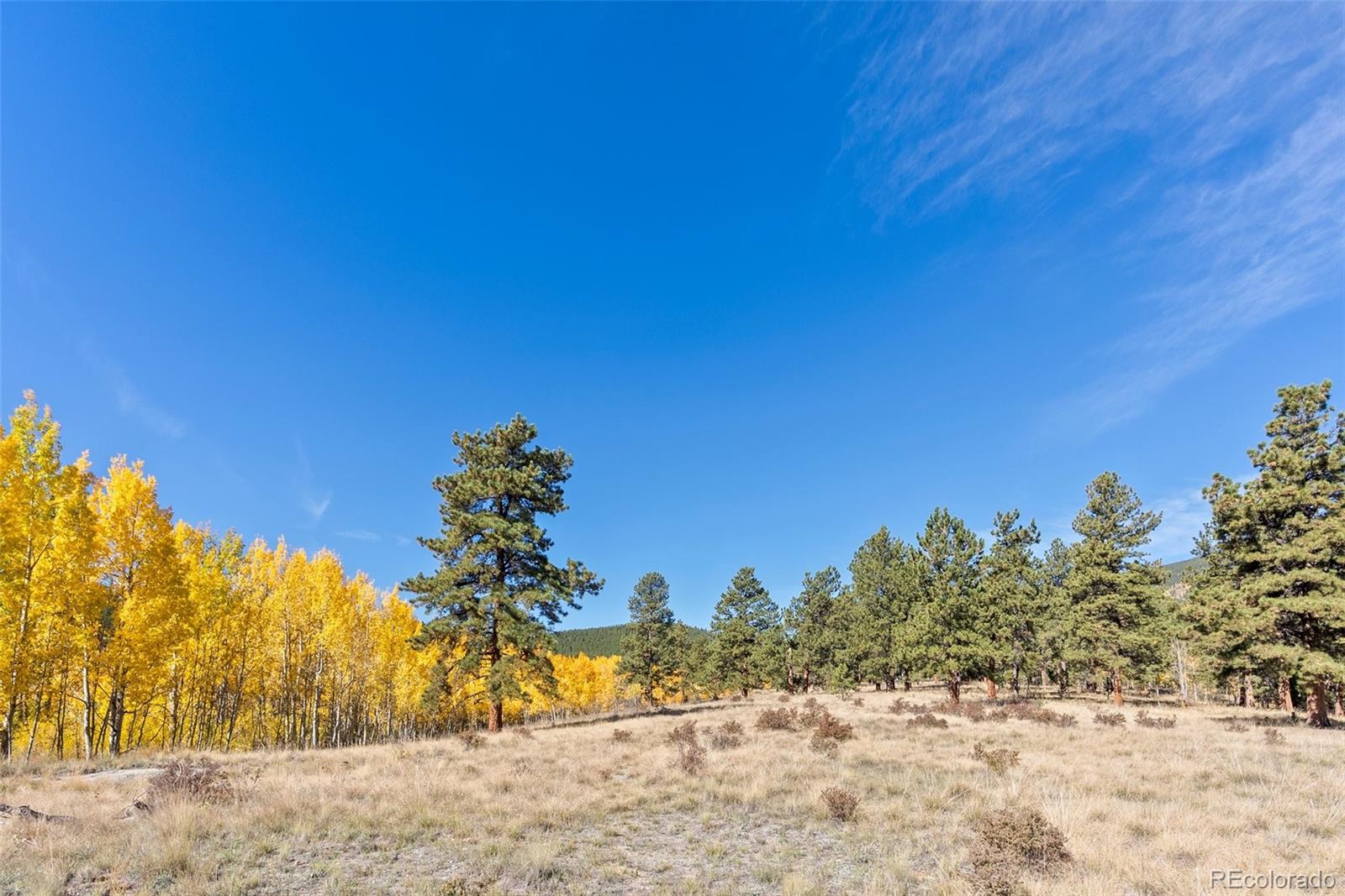 257 Elk Creek Drive