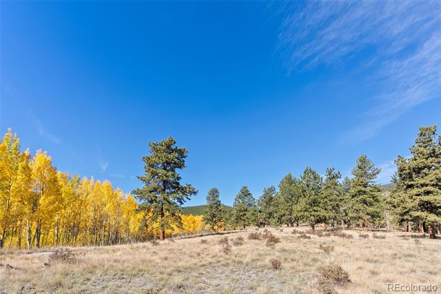 257 Elk Creek Drive
