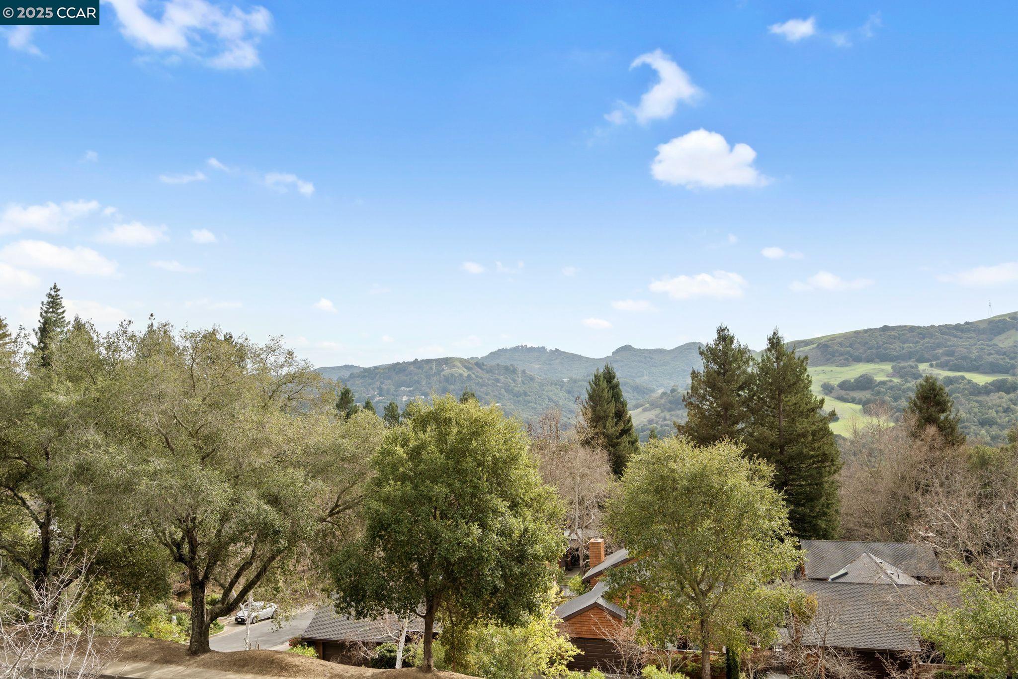 316 Village View Ct