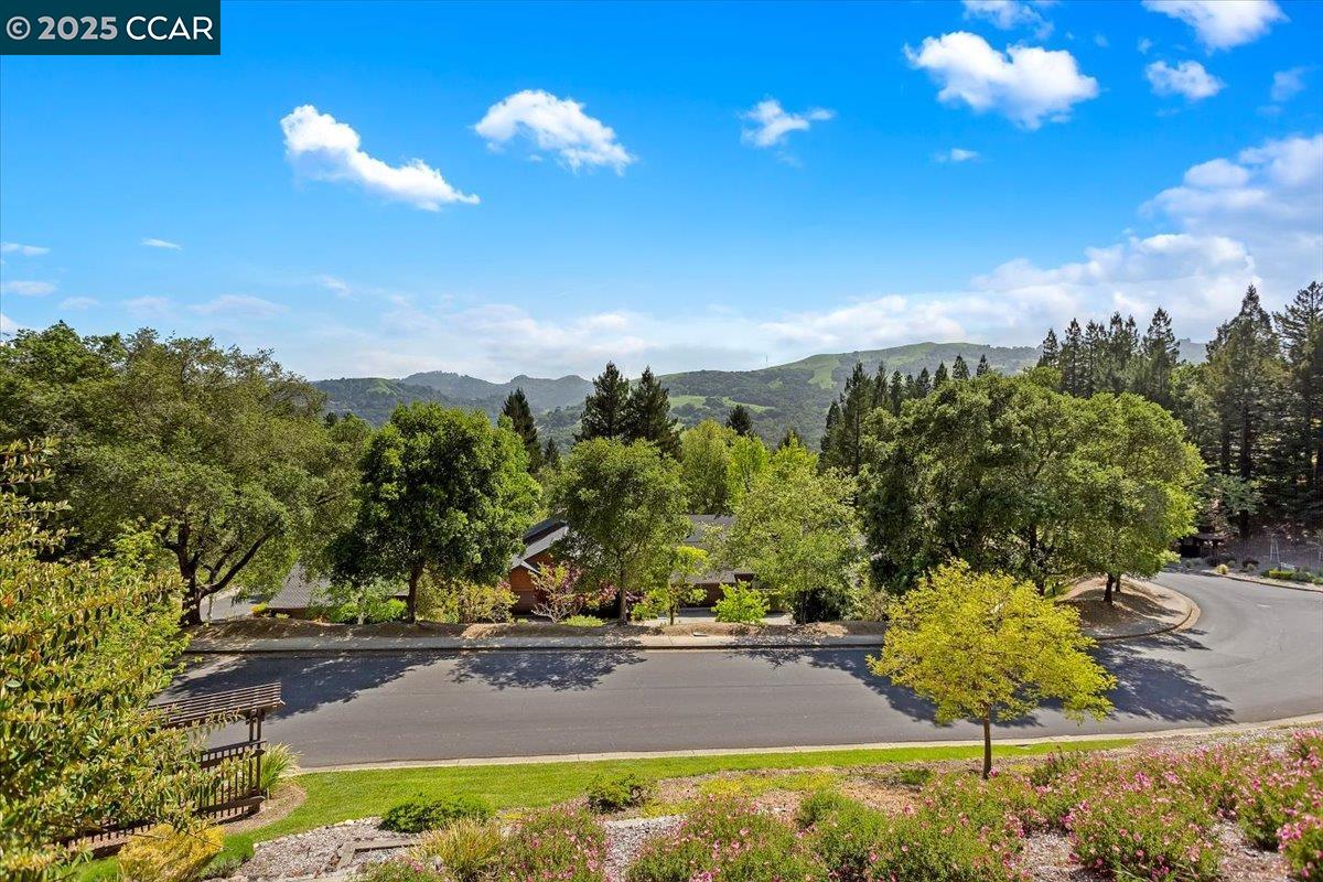 316 Village View Ct