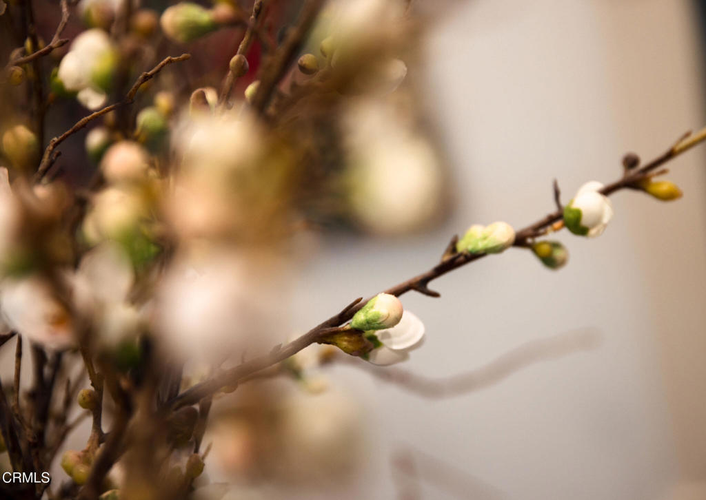 382 E California Boulevard 105