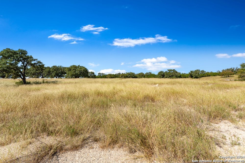 LOT 162 N Cattlemans Crossing Dr