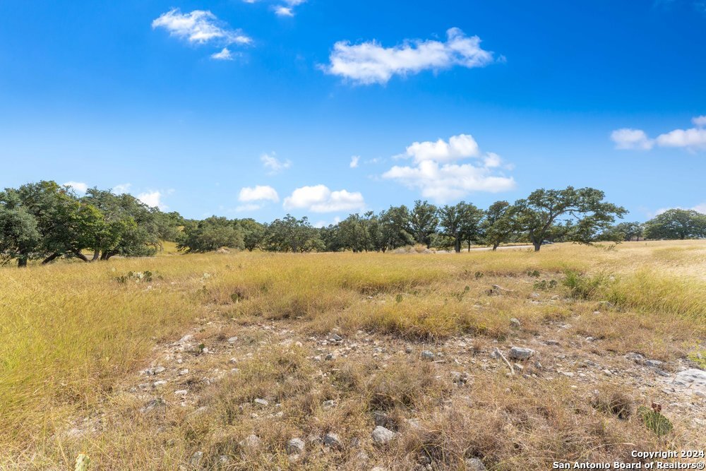 LOT 162 N Cattlemans Crossing Dr