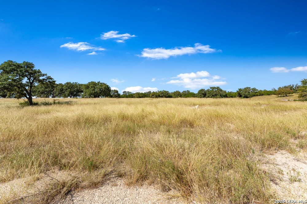 LOT 162 N Cattlemans Crossing Dr