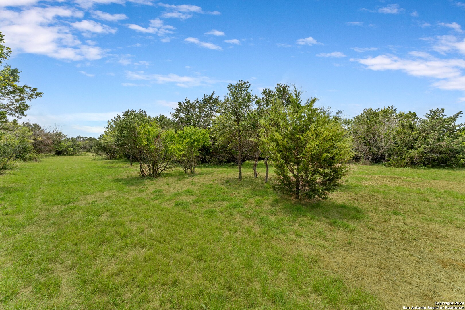 817 OAK BLUFF TRL
