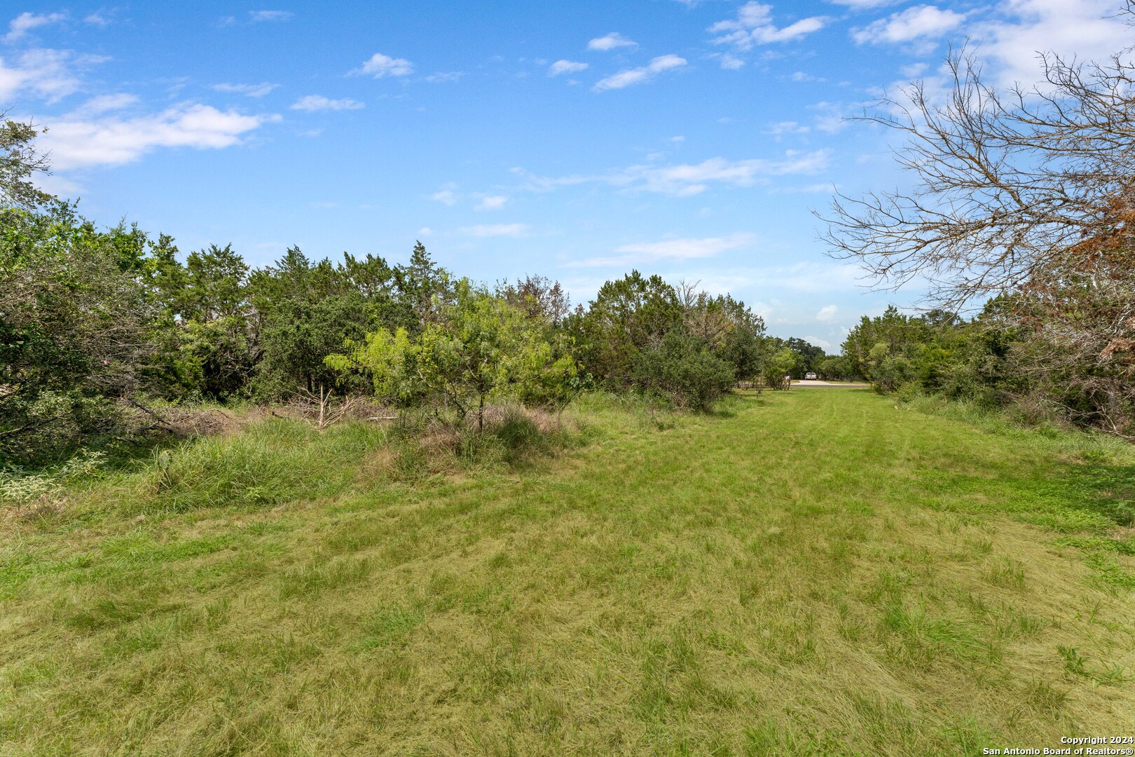 817 OAK BLUFF TRL
