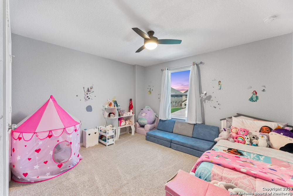 11306 Sawyer Valley