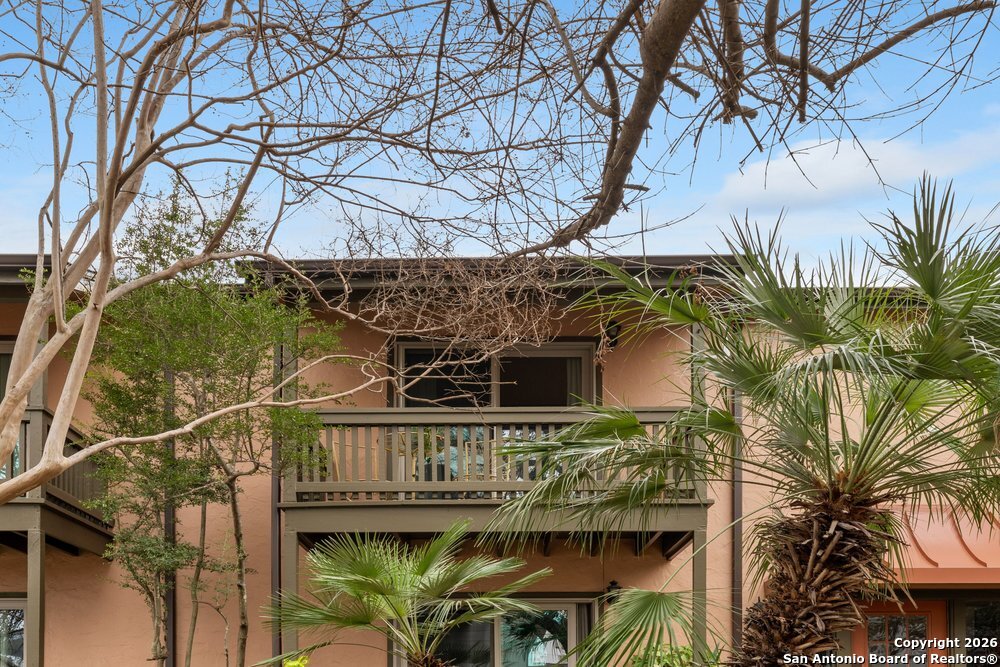 2300 Nacogdoches 210C