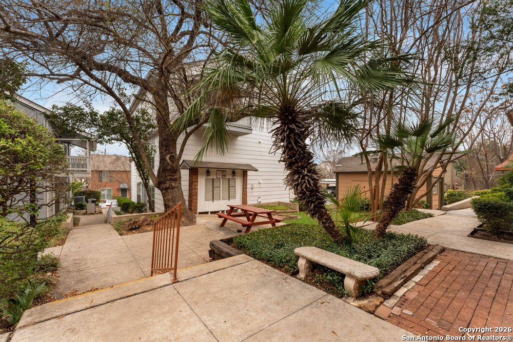 2300 Nacogdoches 210C