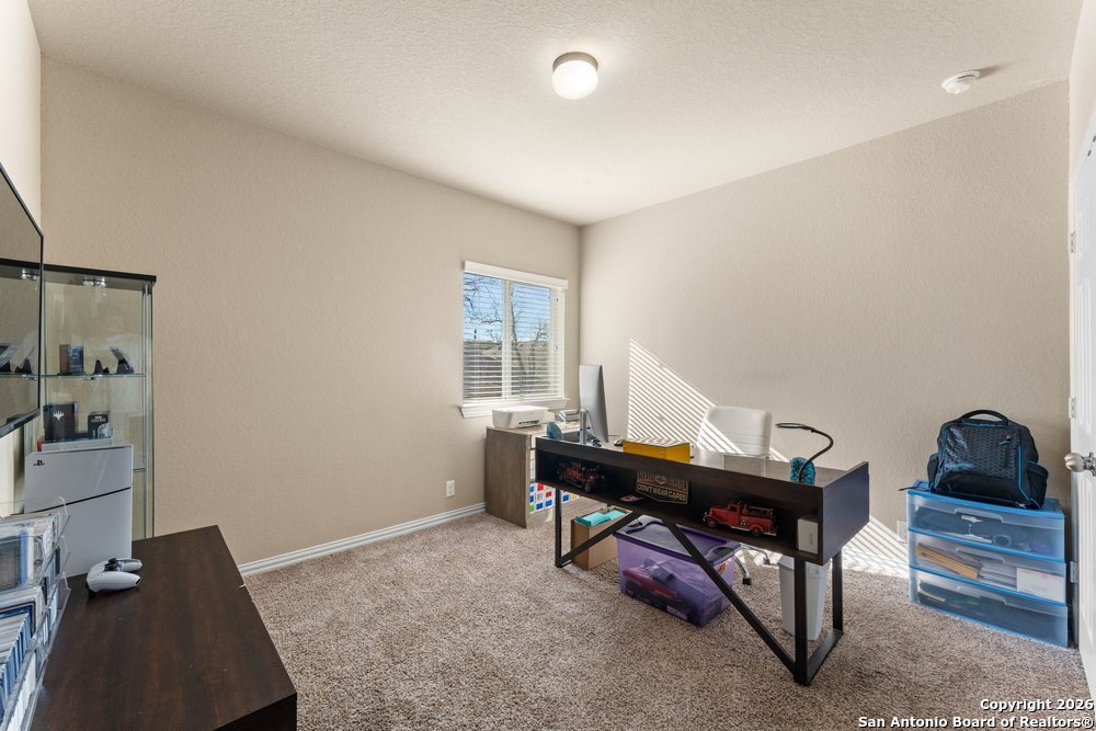 25737 Two Springs