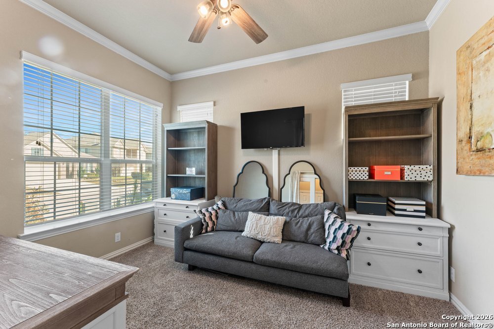 25737 Two Springs