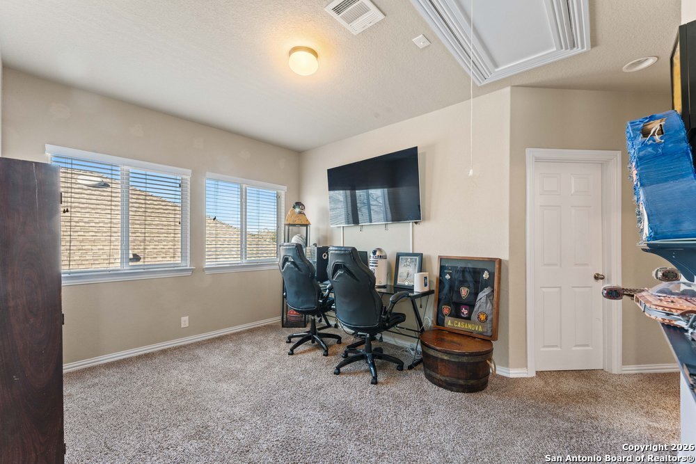 25737 Two Springs