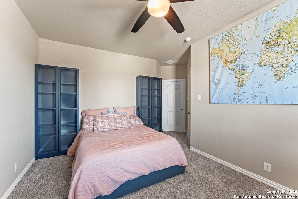 25737 Two Springs