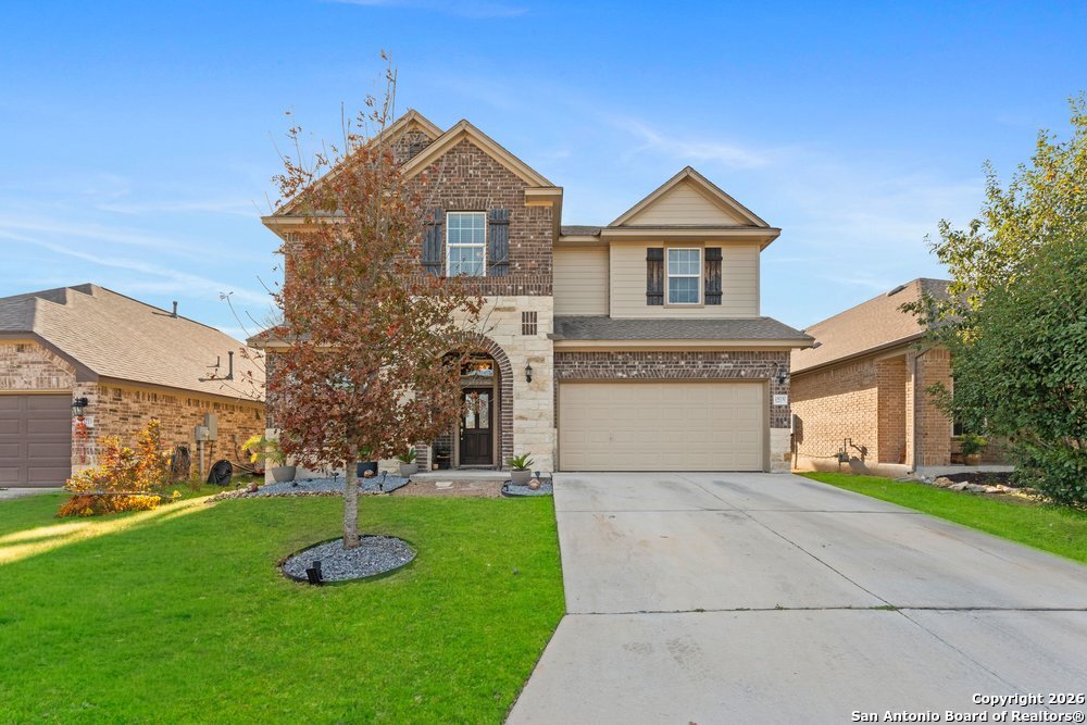 25737 Two Springs