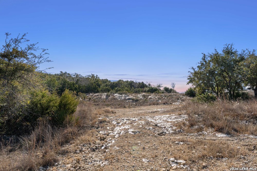 10846 Nina Ridge