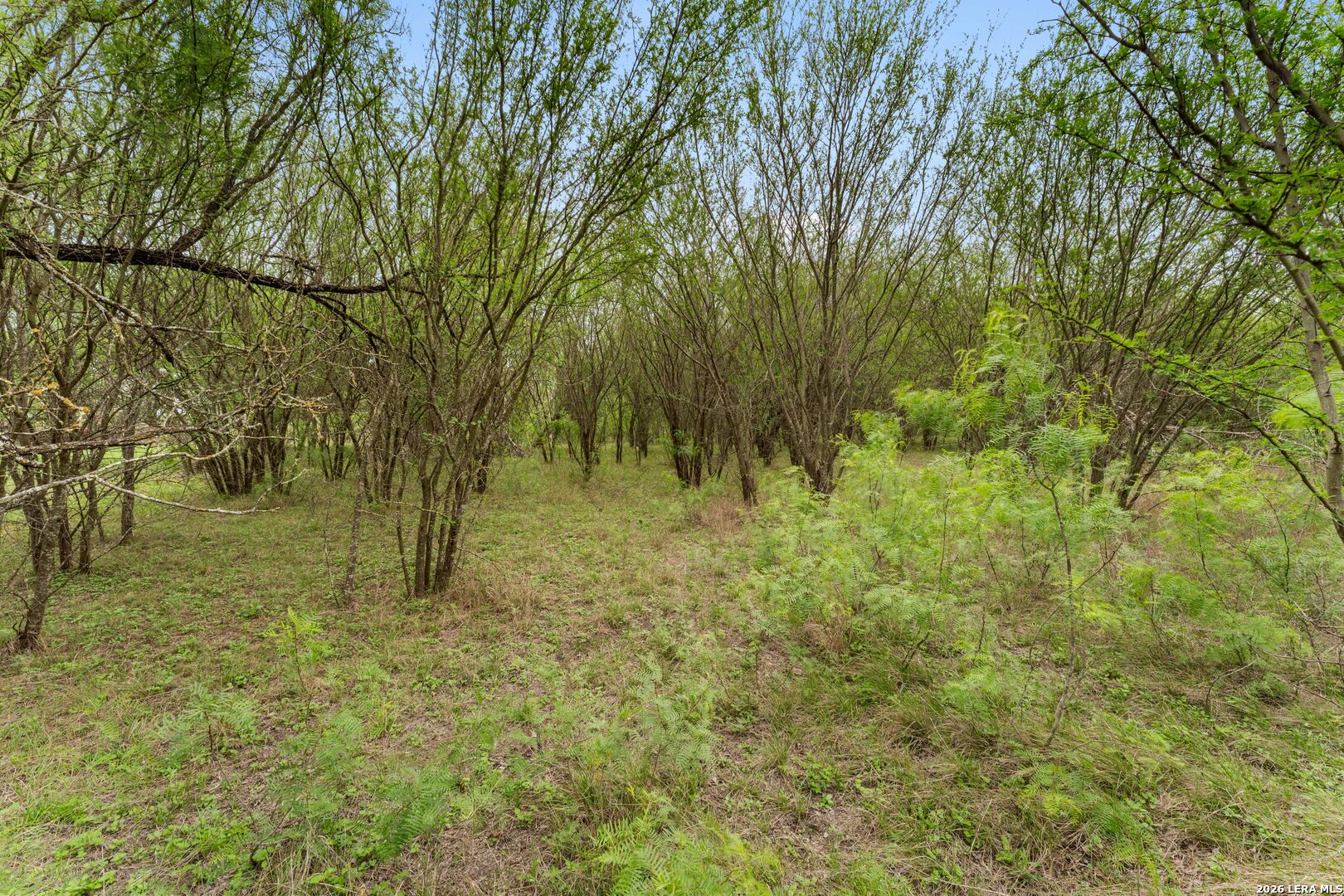 17272 Fm 463