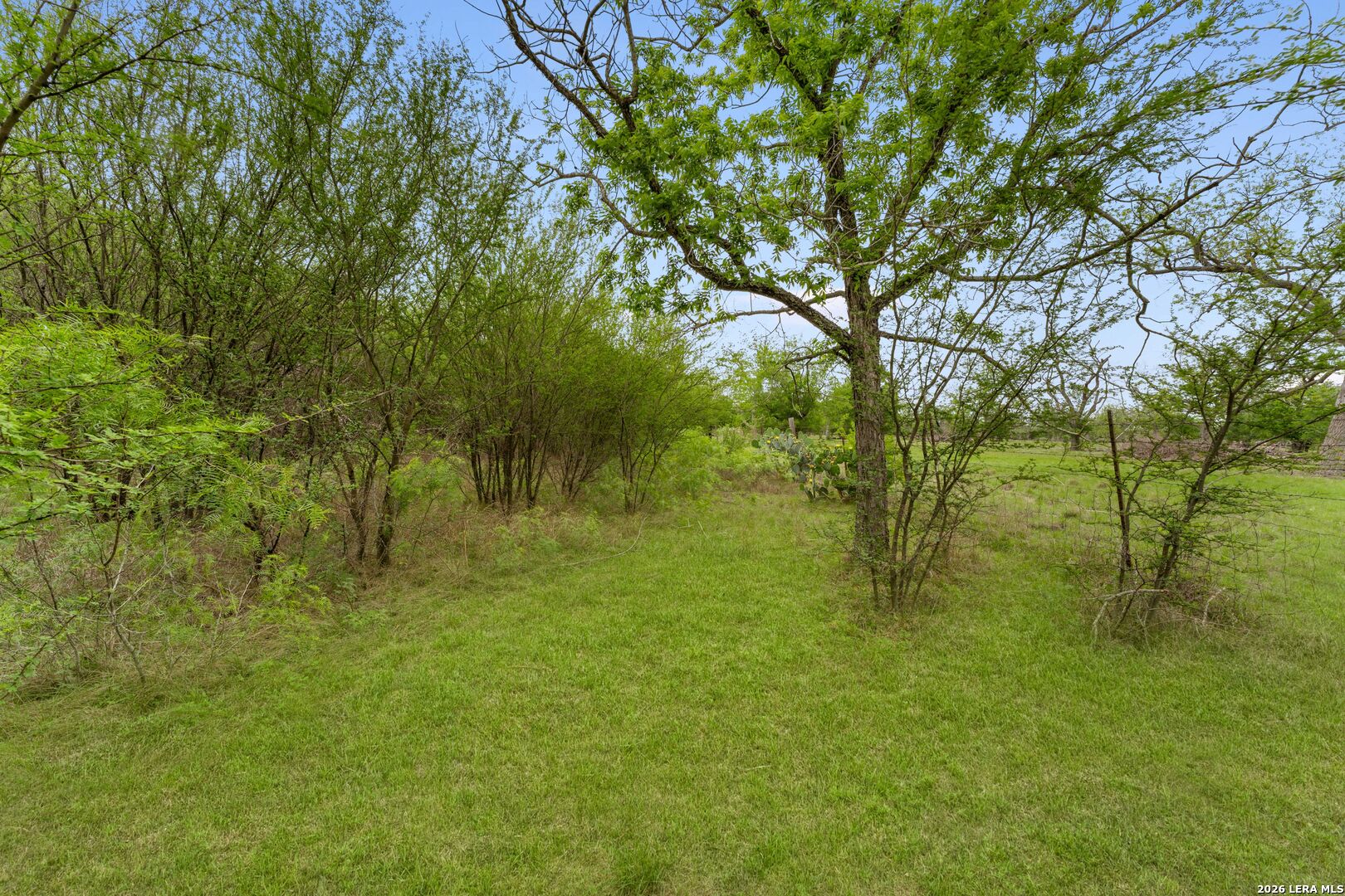 17272 Fm 463