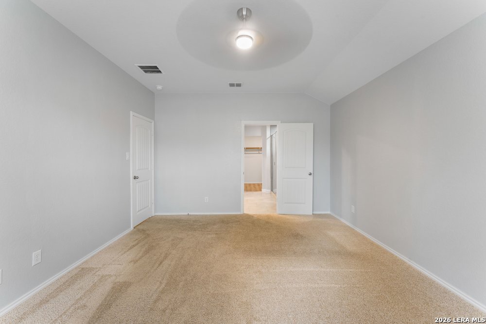 829 MARGAY LOOP