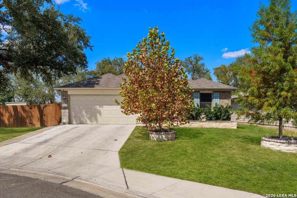 829 MARGAY LOOP