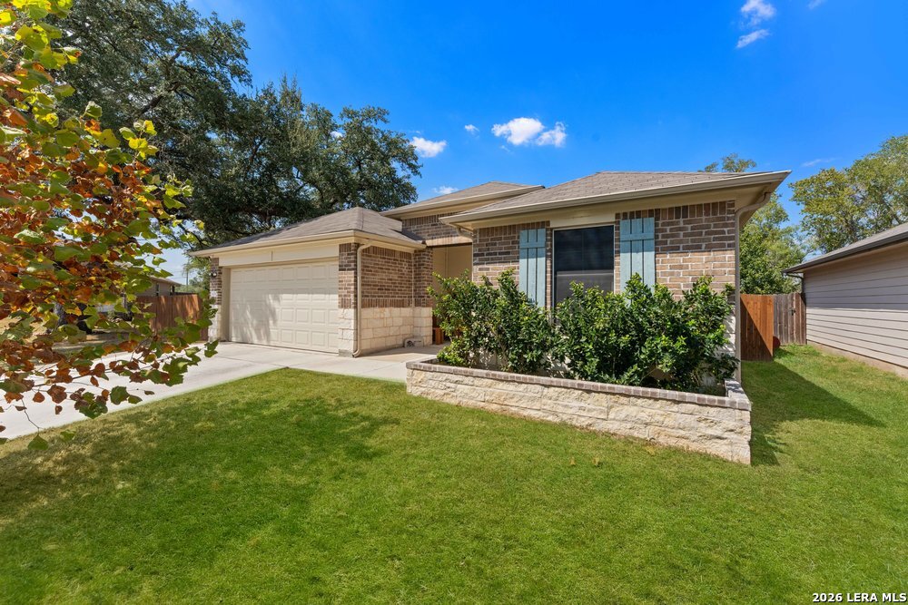829 MARGAY LOOP