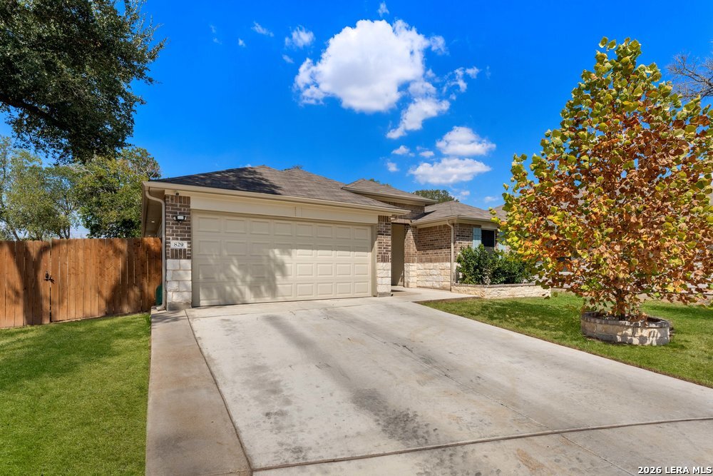 829 MARGAY LOOP
