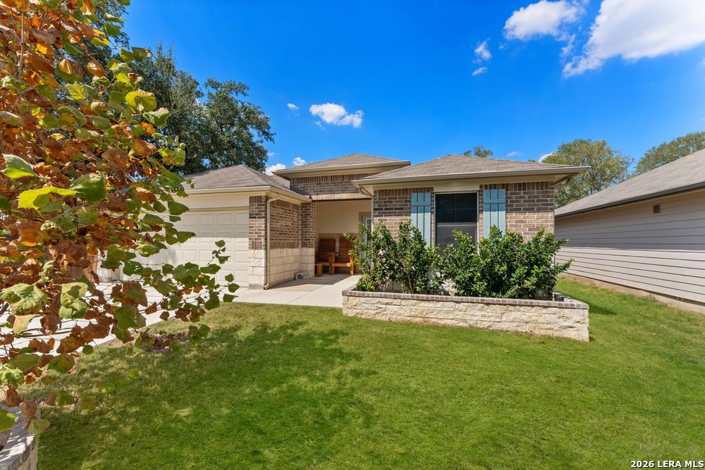 829 MARGAY LOOP