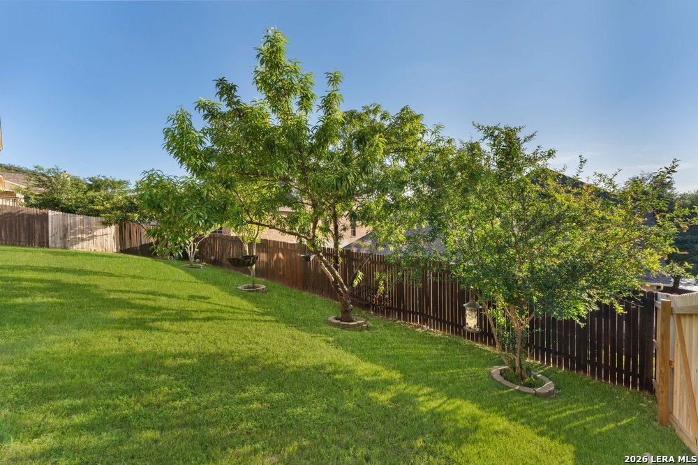 21719 Eden Rose Hill