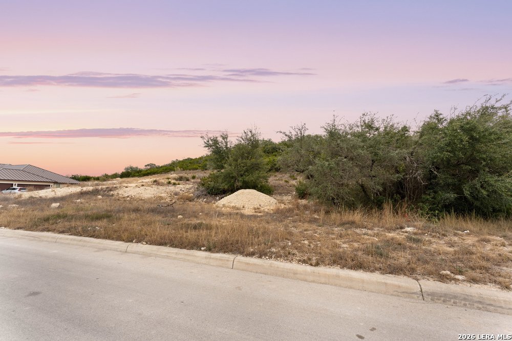 10842 Nina Ridge