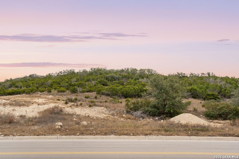 10842 Nina Ridge