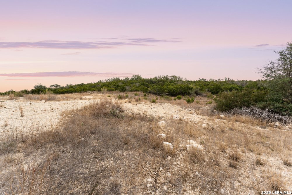 10842 Nina Ridge