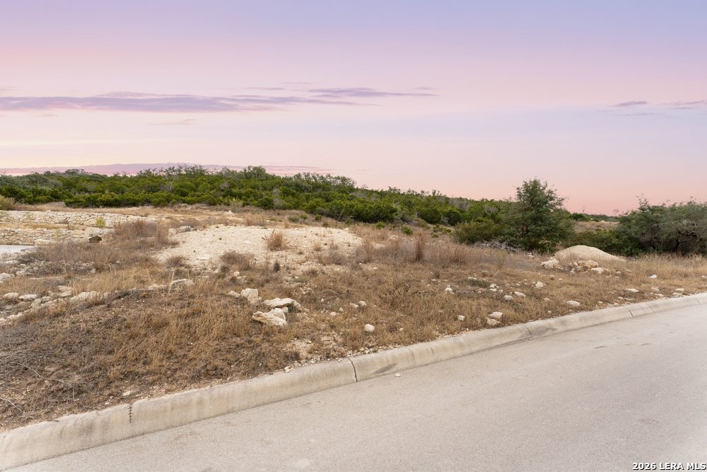 10842 Nina Ridge
