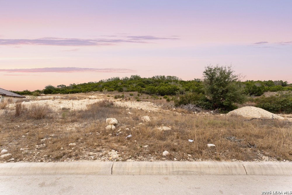 10842 Nina Ridge